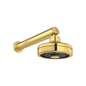 Deca Ducha Redonda de Parede Gold Acqua Plus com Tubo Longo