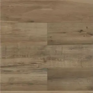 Porcelanato Externo Retificado Reserva Natural 19,7x120cm Bege - Imagem 3