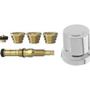 Kit Reparo Registro Blukit 10 em 1 C/ Acab C40 Ref.060103.21